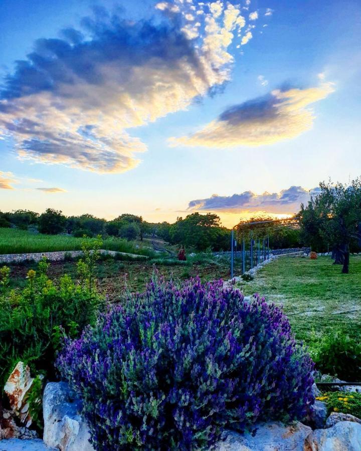 Trulli Pax Animi Βίλα Μαρτίνα Φράνκα Εξωτερικό φωτογραφία